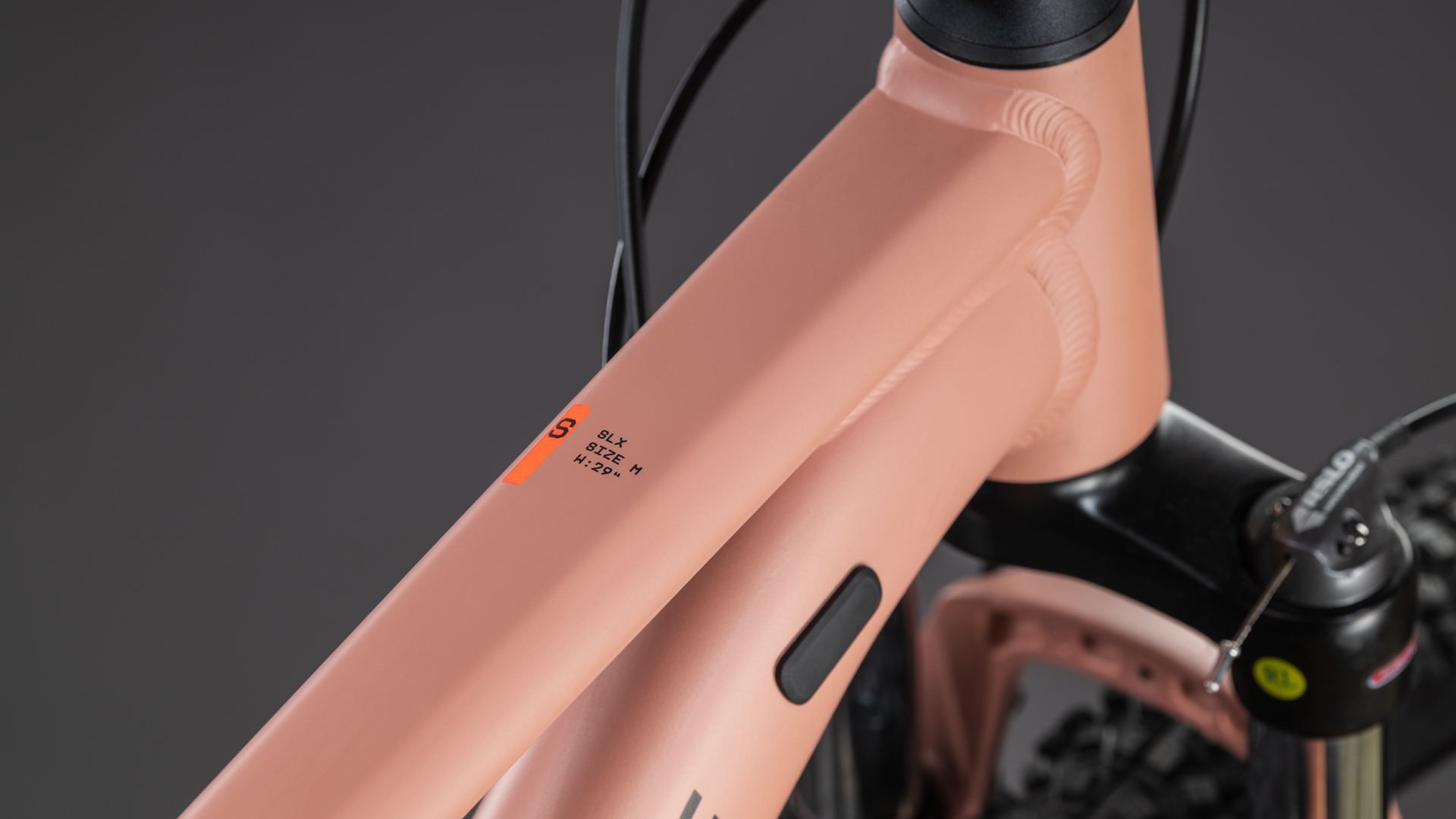 556_141220_D_00.jpg 556_141220_D_00.jpg