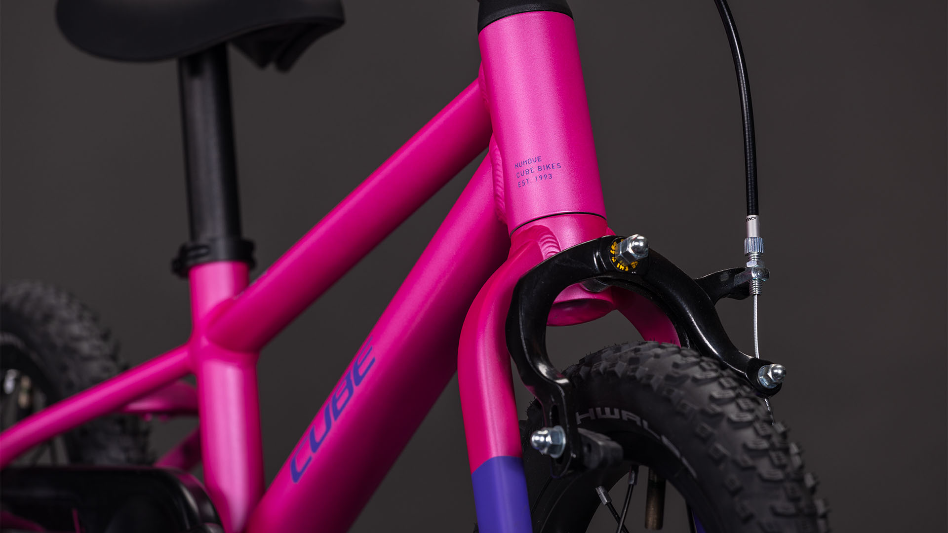 570_150170_D_04.jpg 570_150170_D_04.jpg