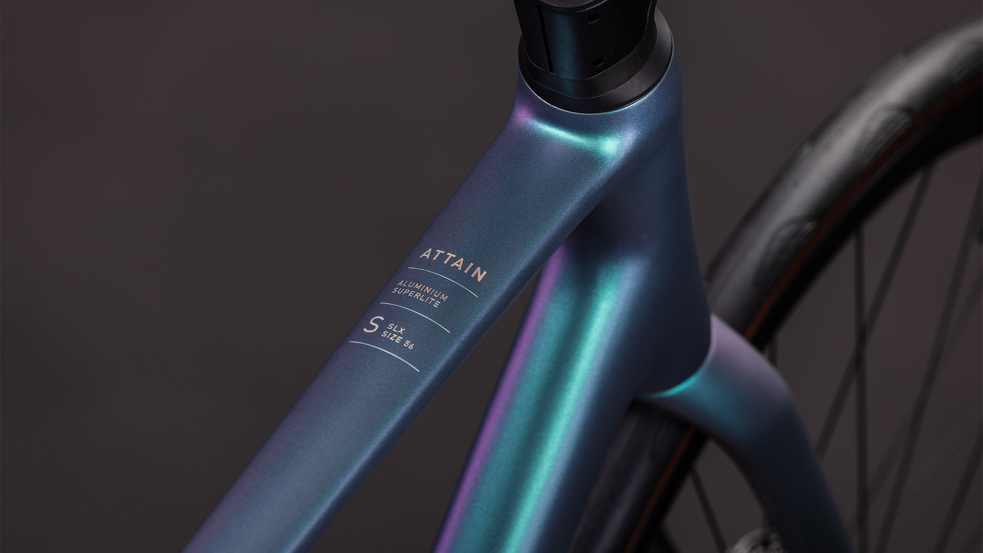 623_125310_D_00.jpg 623_125310_D_00.jpg